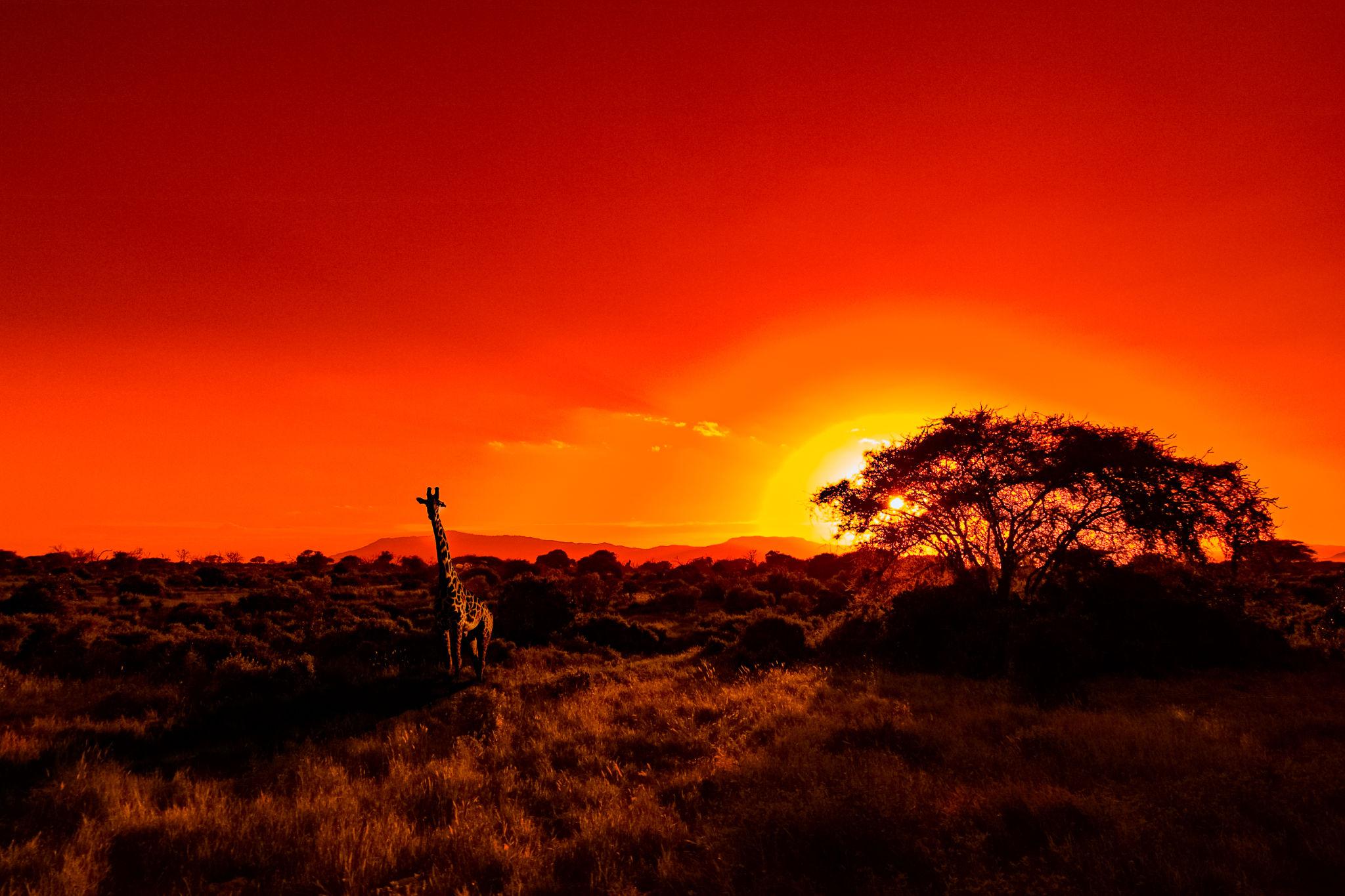 Africa luxury safari and waterfall experience